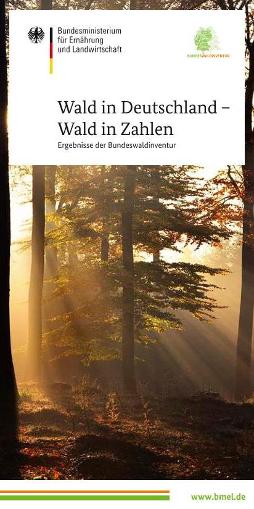 Titelbild der Publikation "Wald in Deutschland - Wald in Zahlen"